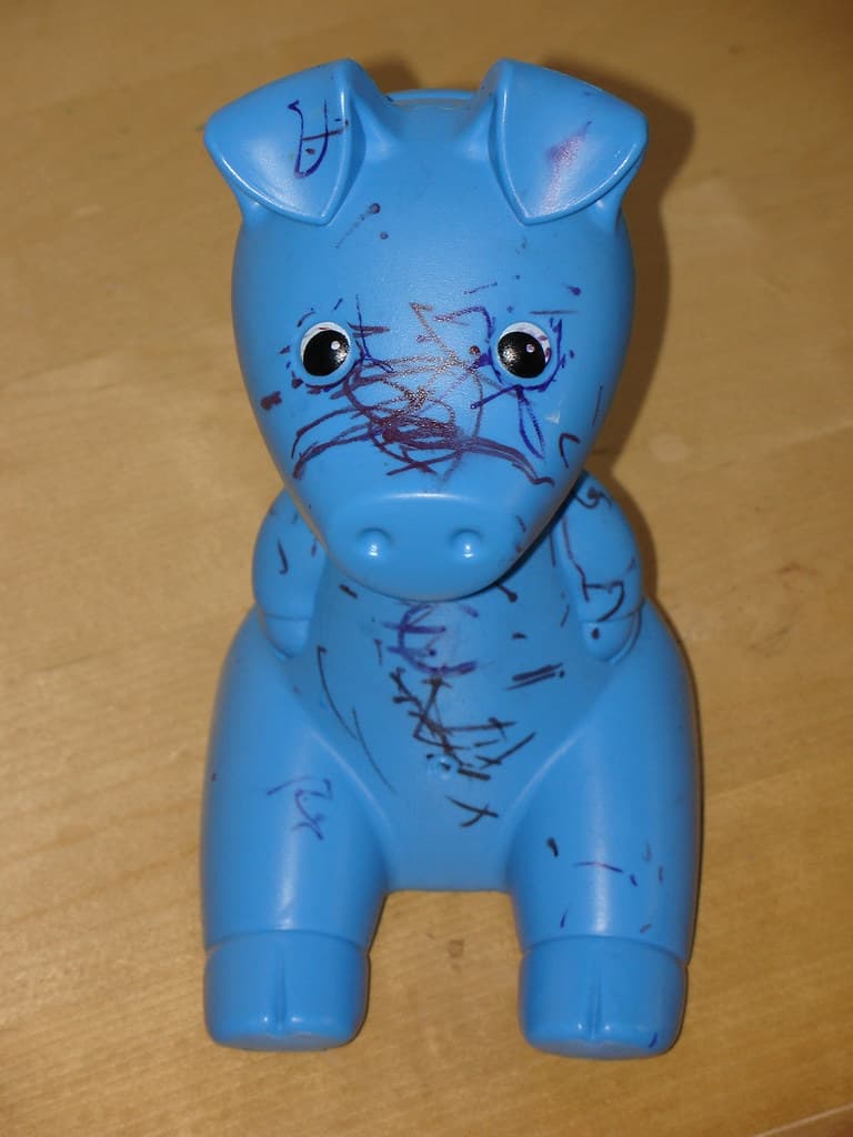 Piggy bank/canvas